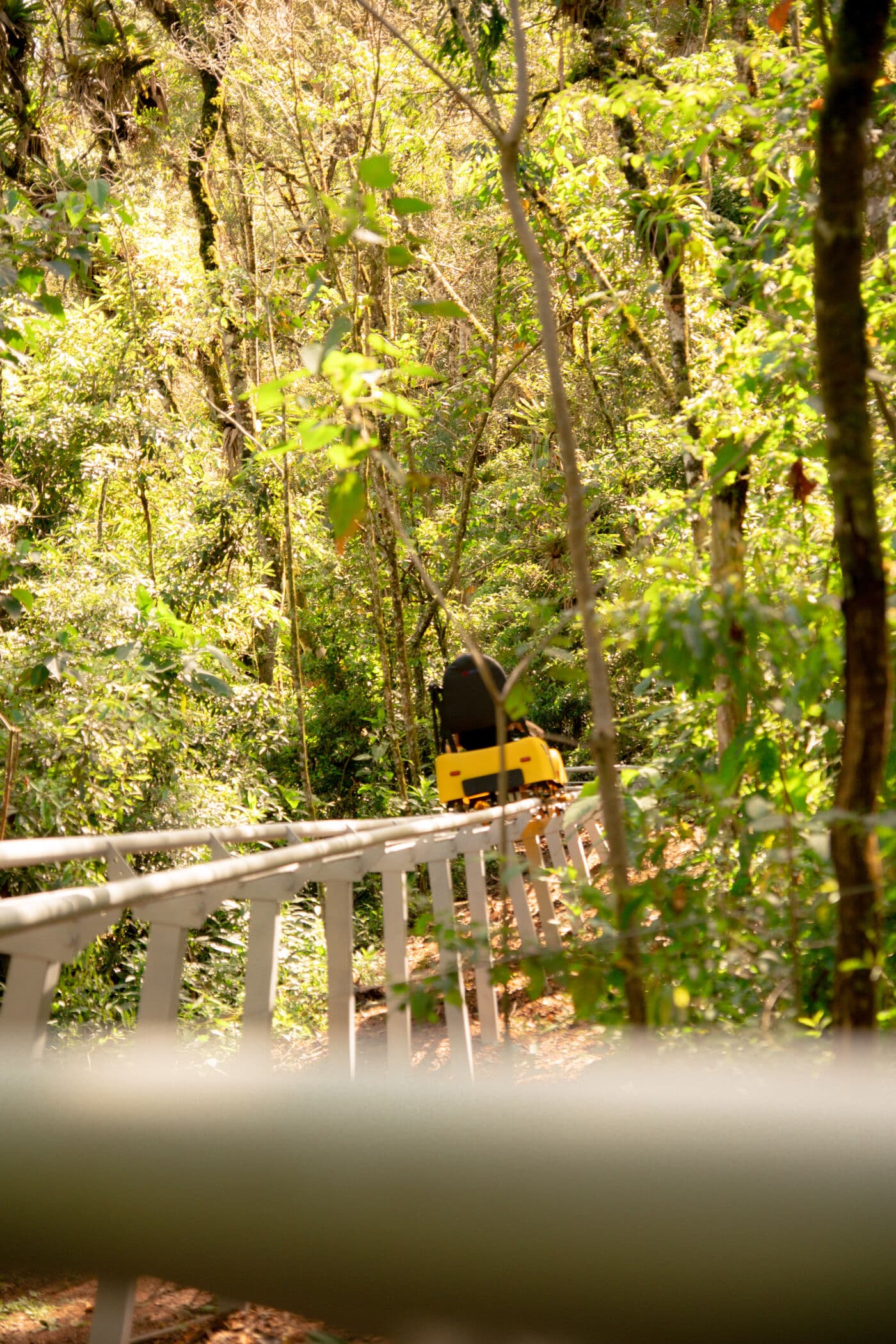 Trenó amarelo percorre o trilho elevado entre as árvores da mata